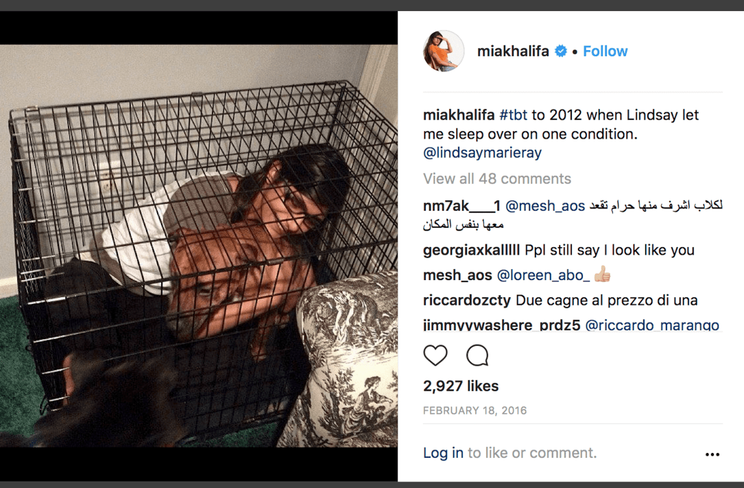 mia-k-miakhalifa-e280a2-dog-copy-2