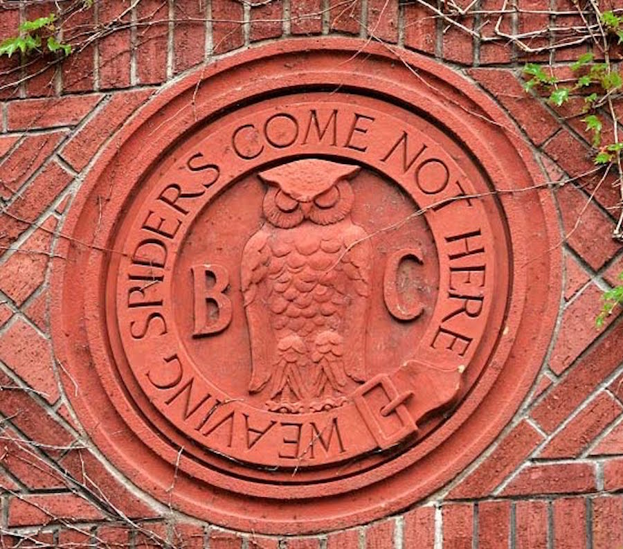 owl.bohemian.grove