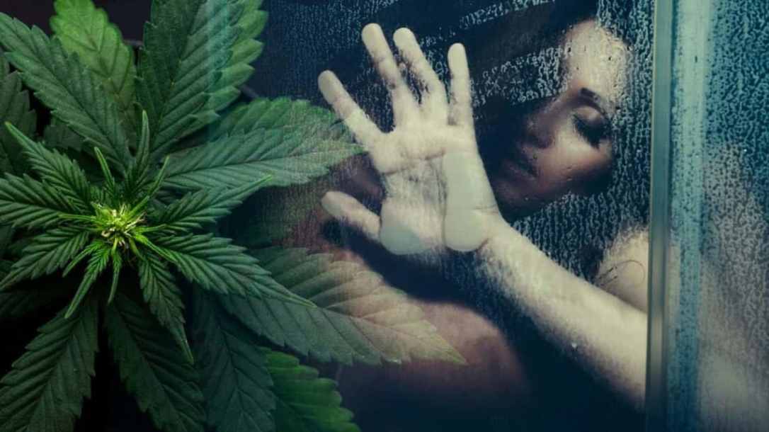 cannabis.sex