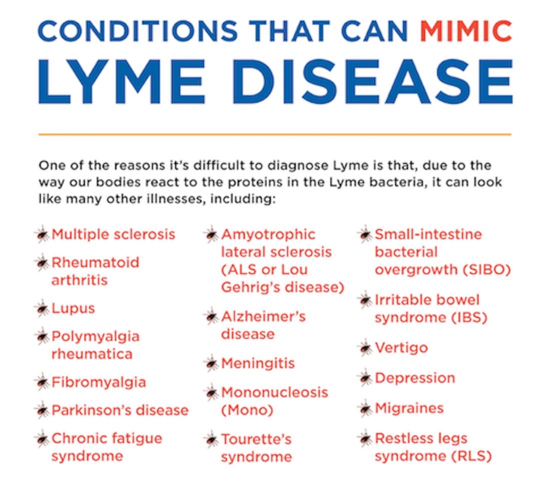 lyme confused diagnosis
