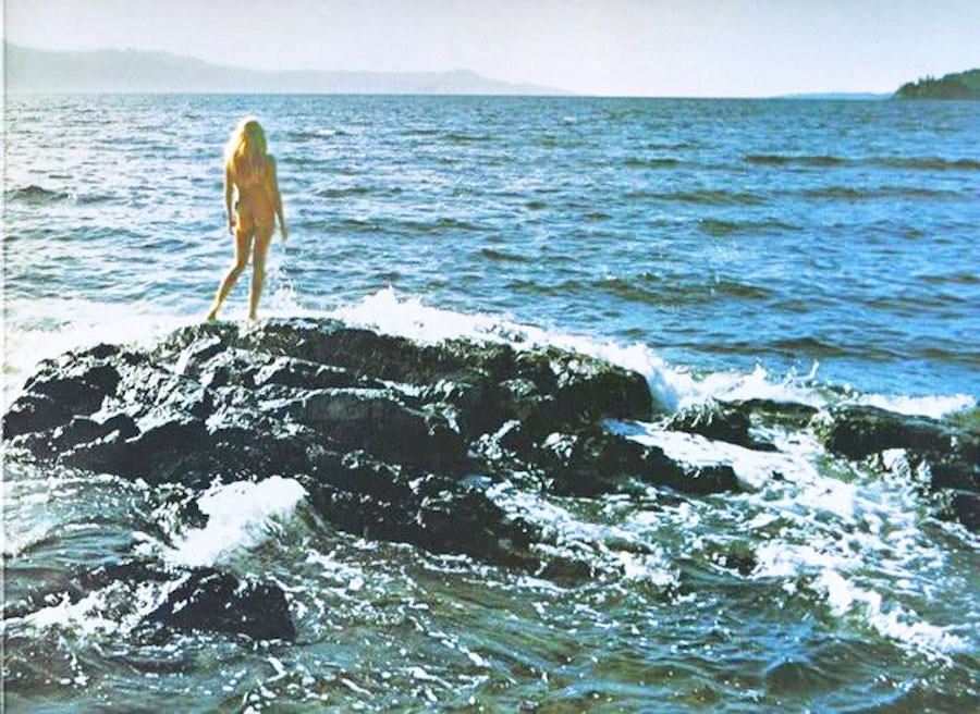 joni mitchell for the roses