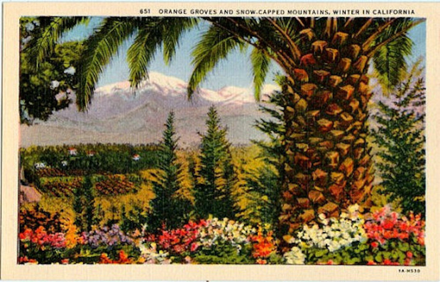 california postcard