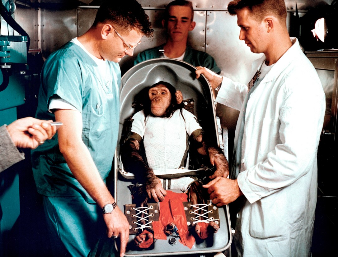CHIMPANZEE "HAM" IN FLIGHT COUCH FOR MR-2 (MERCURY-REDSTONE2) (REF# LOD 61C-114