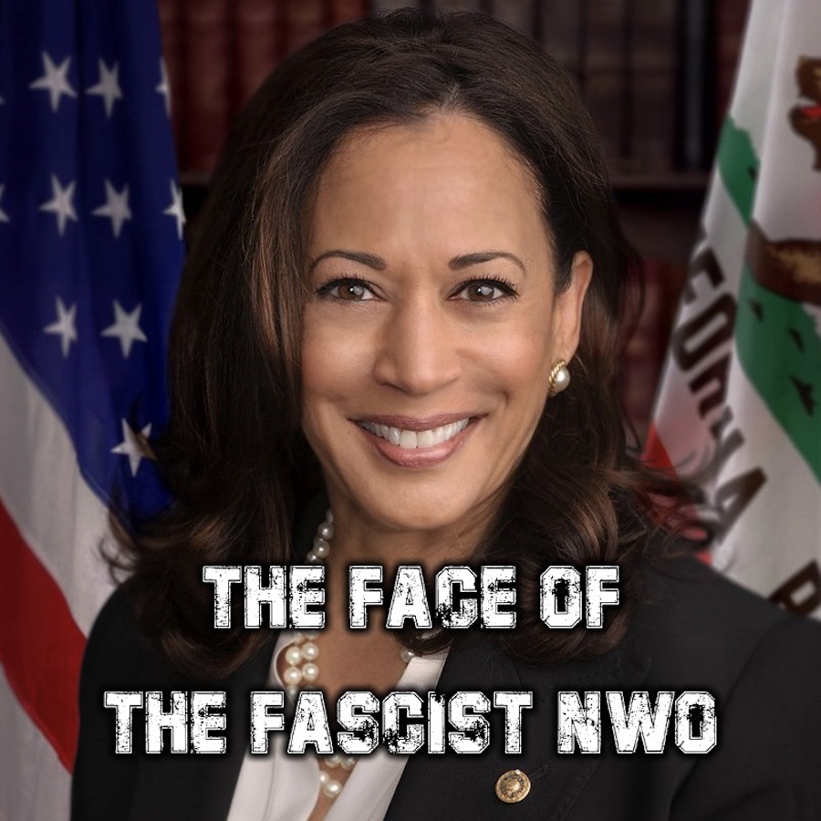 kamala harris nwo