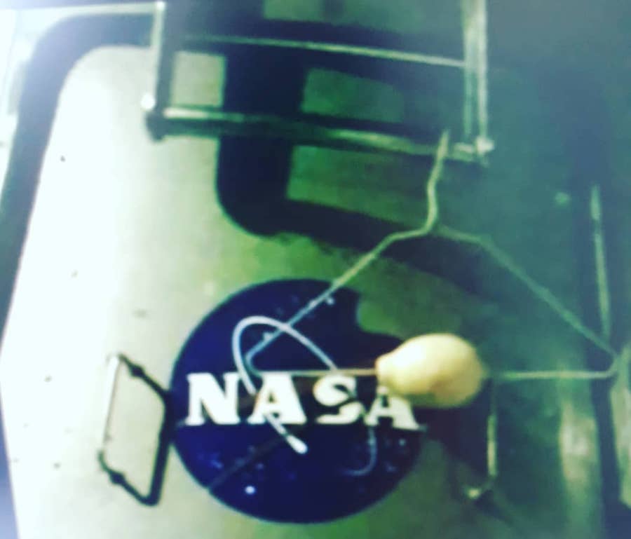 nasa lemon