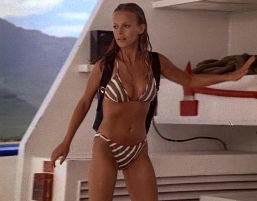 charlies angels angels in paradise