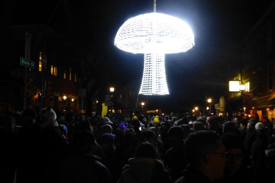 Kennett Mushroom New Years