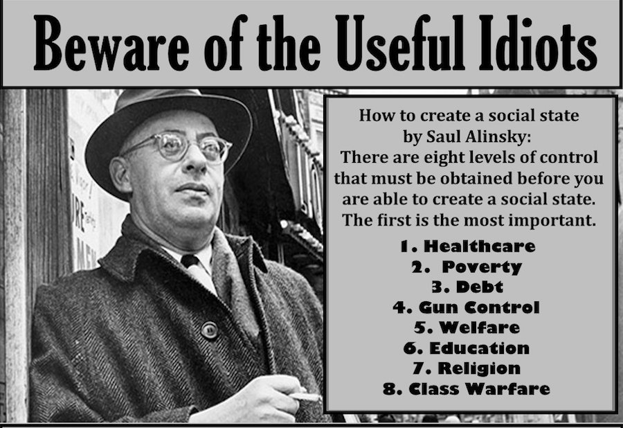 useful idiots