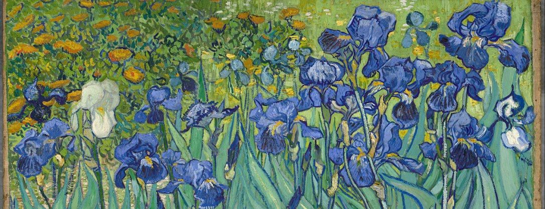 Van Gogh Irises