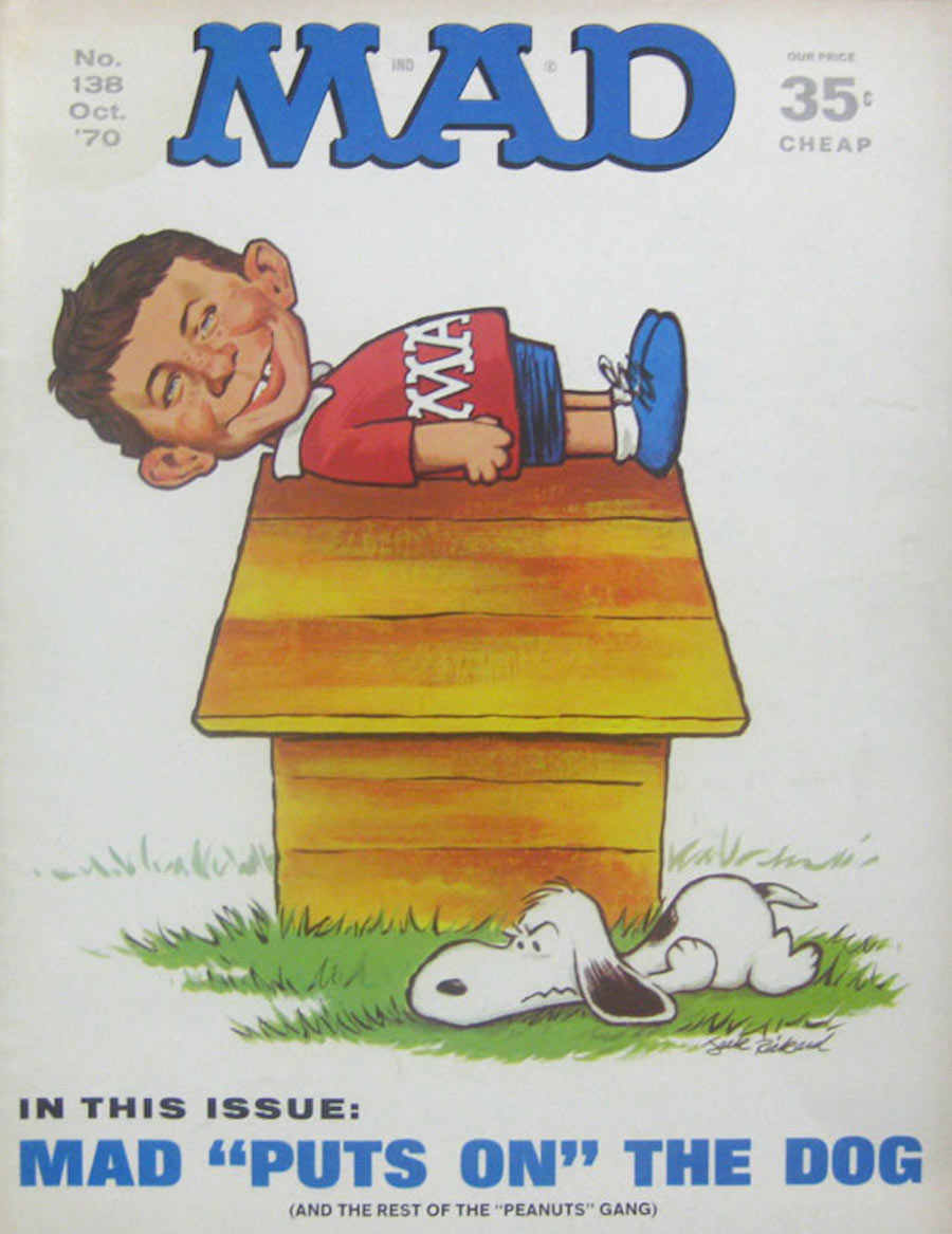 mad snoopy dog house