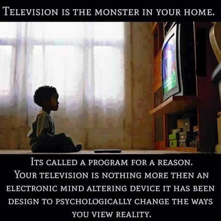 television programs