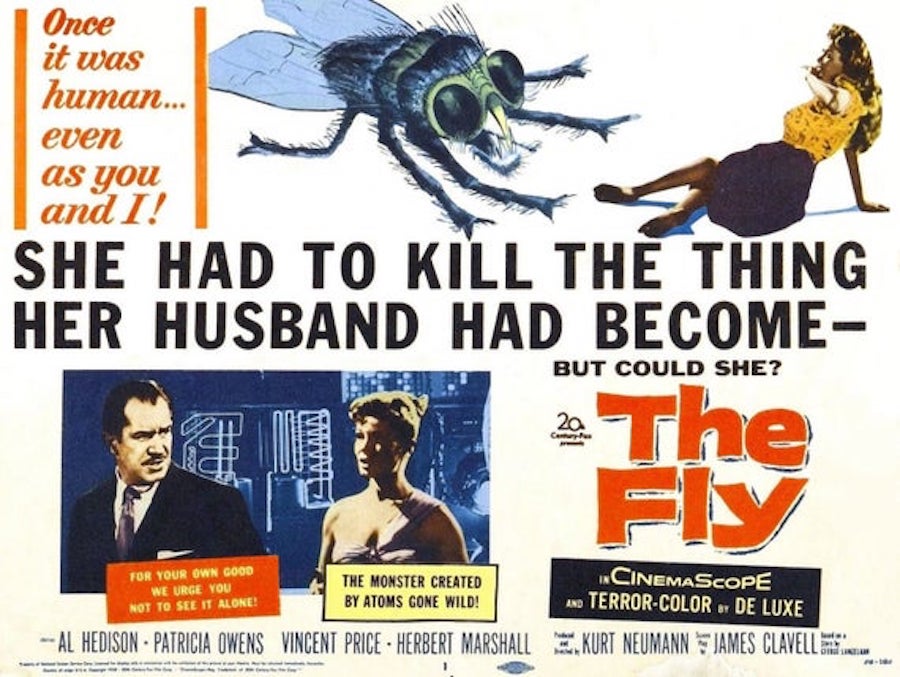 the fly poster