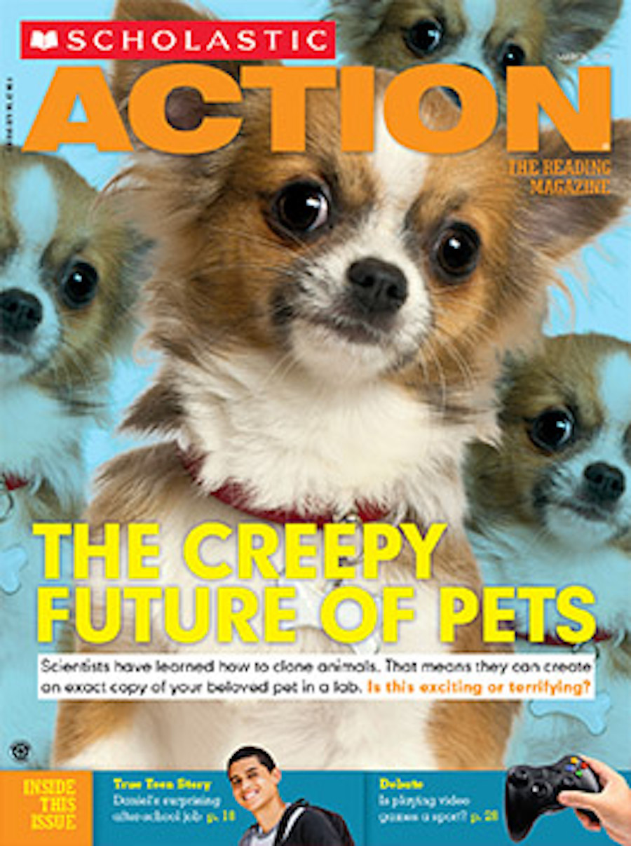 scholastic action - pets