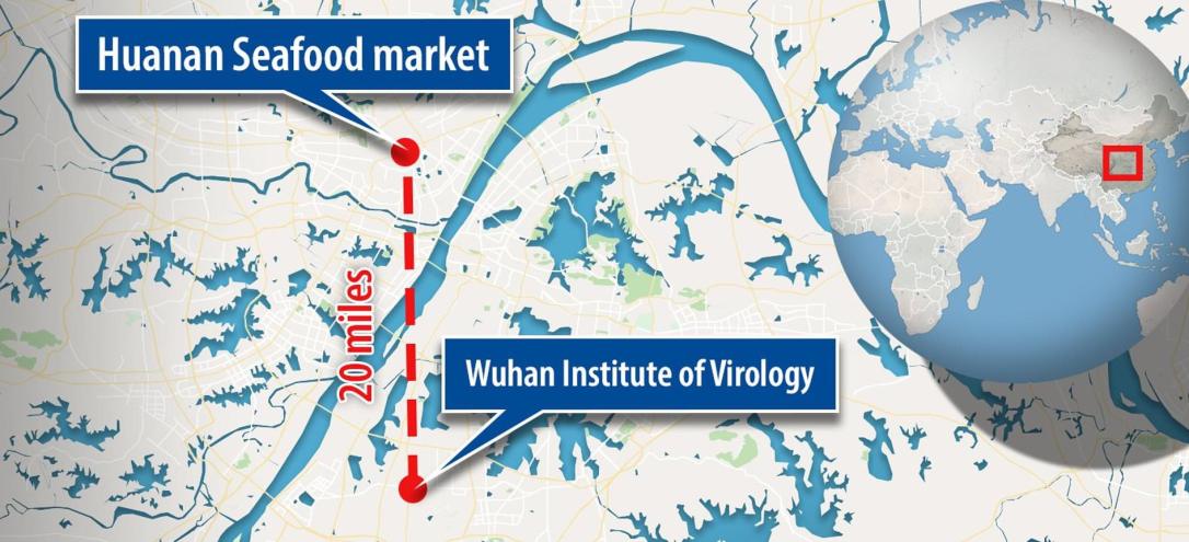 wuhan seafood market map