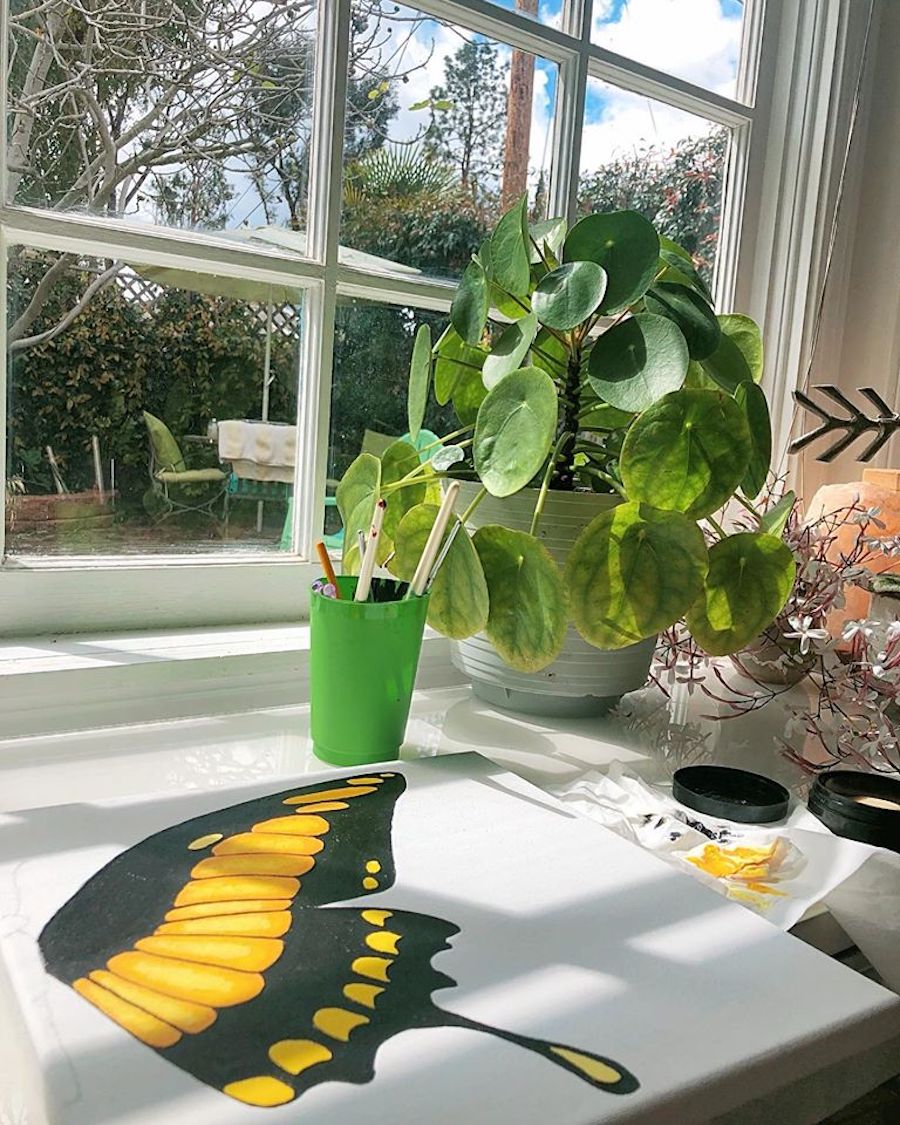 mckenzie seagren (mcintaggarts daughter) torn monarch wing