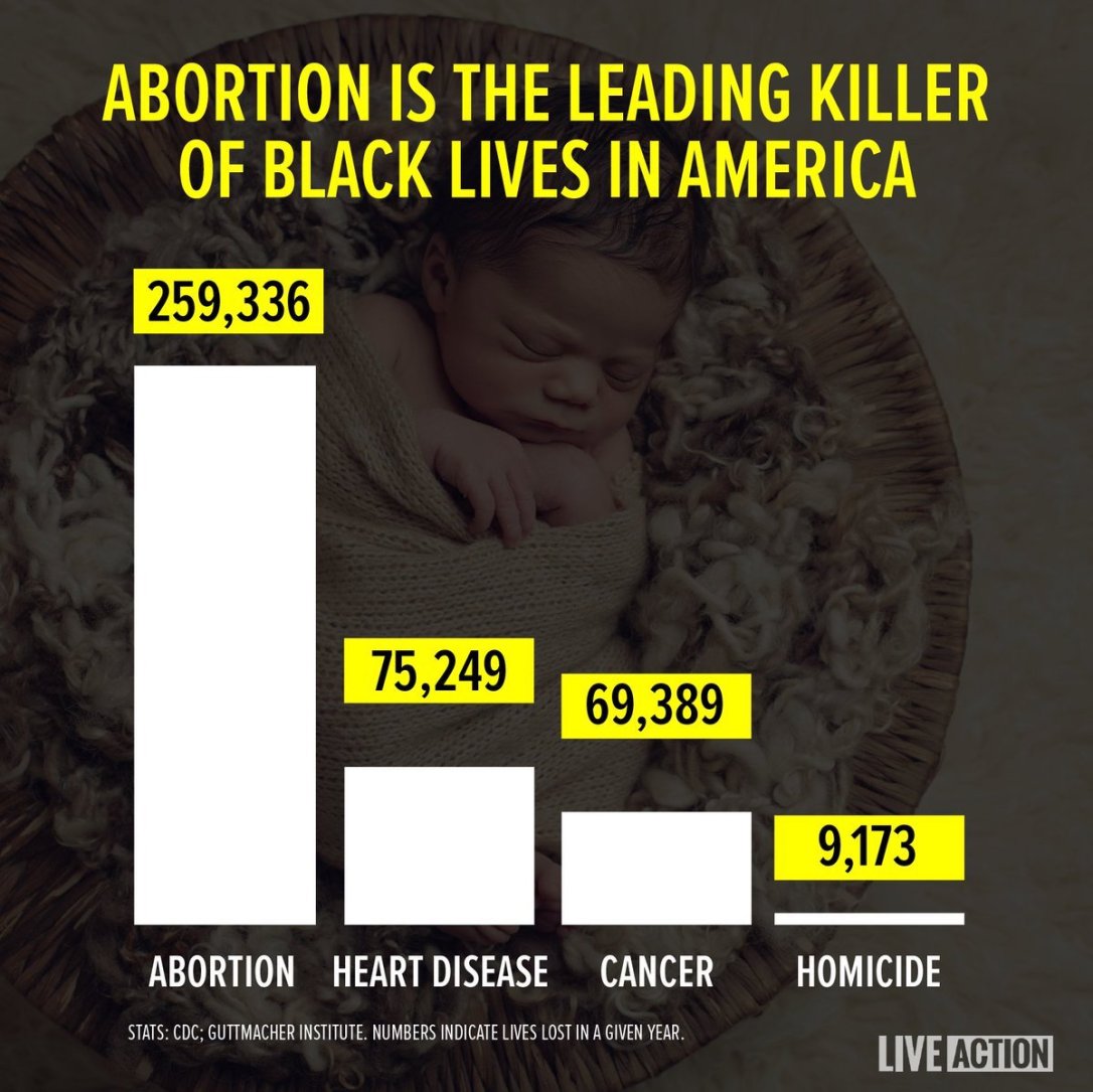 Abortion Racist Stats