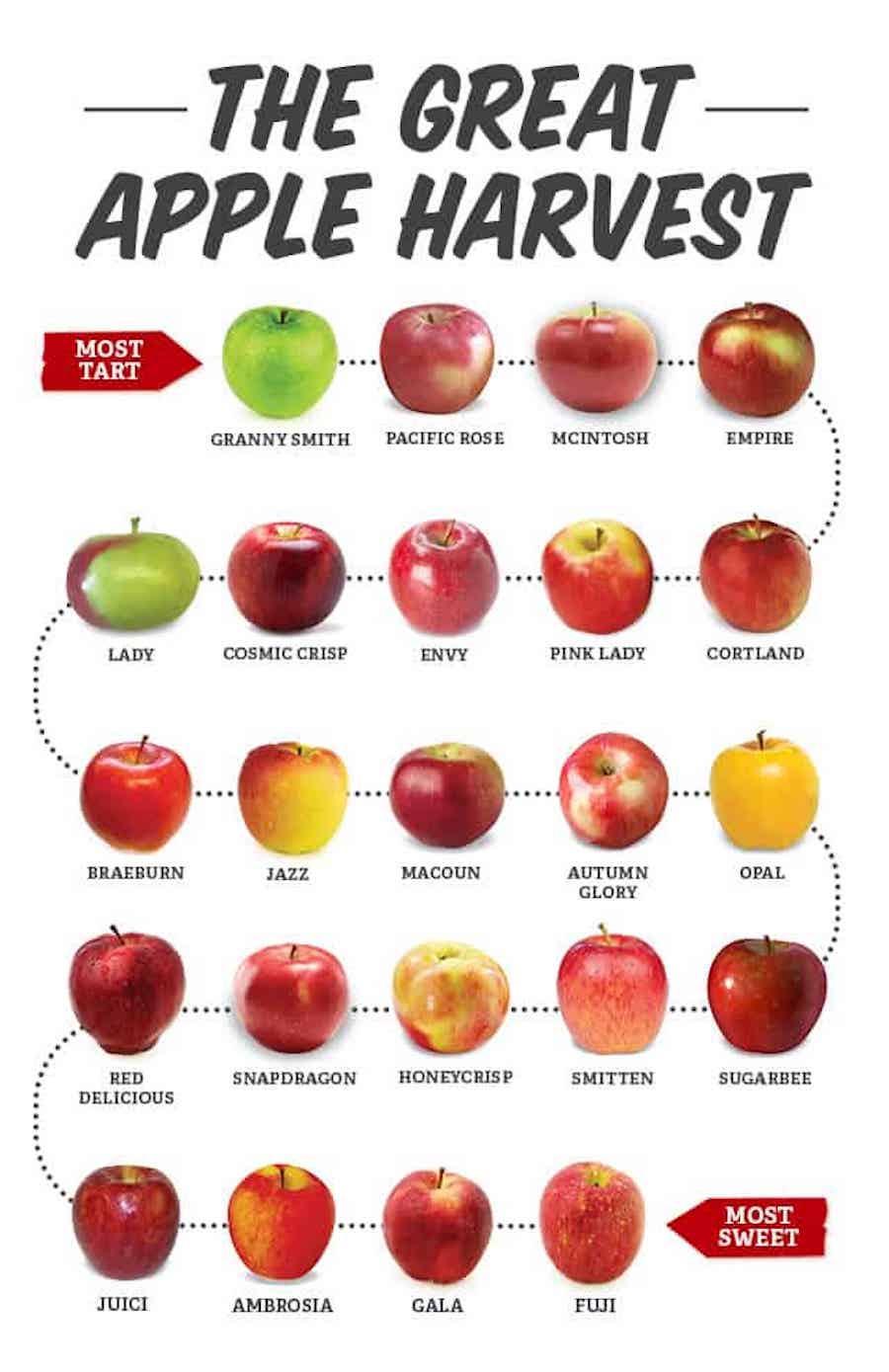 apples varietals