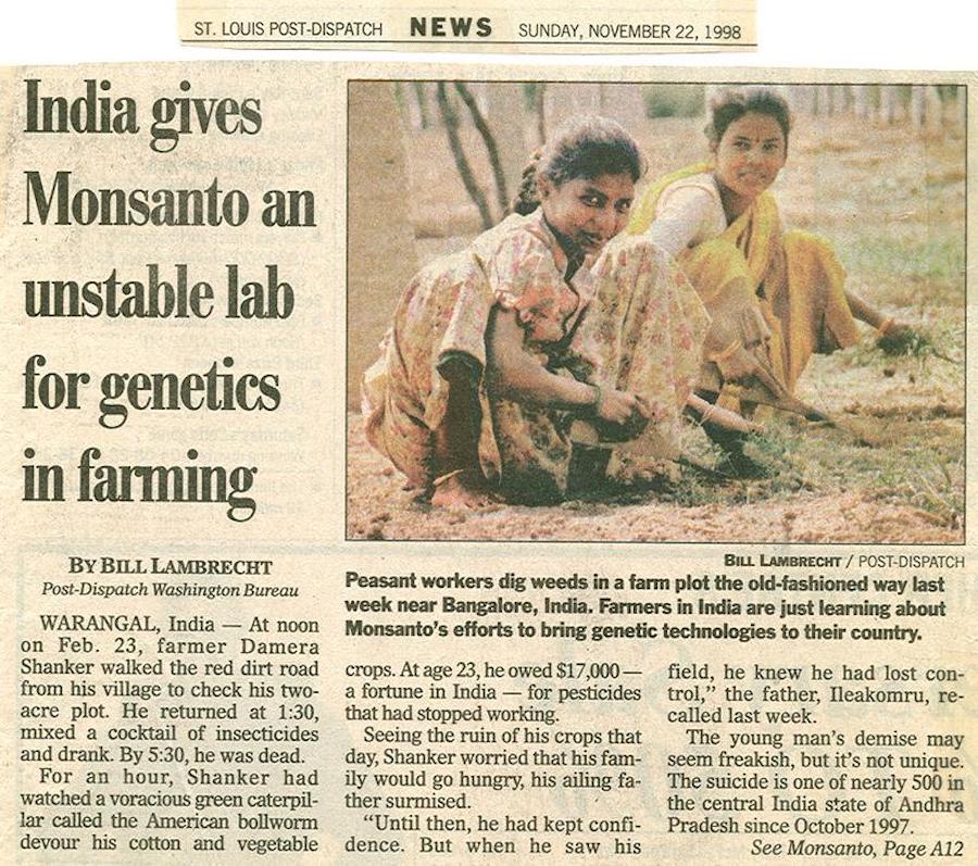 india monsanto