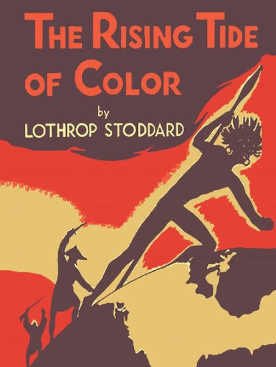 lothrop stoddard rising tide of color book